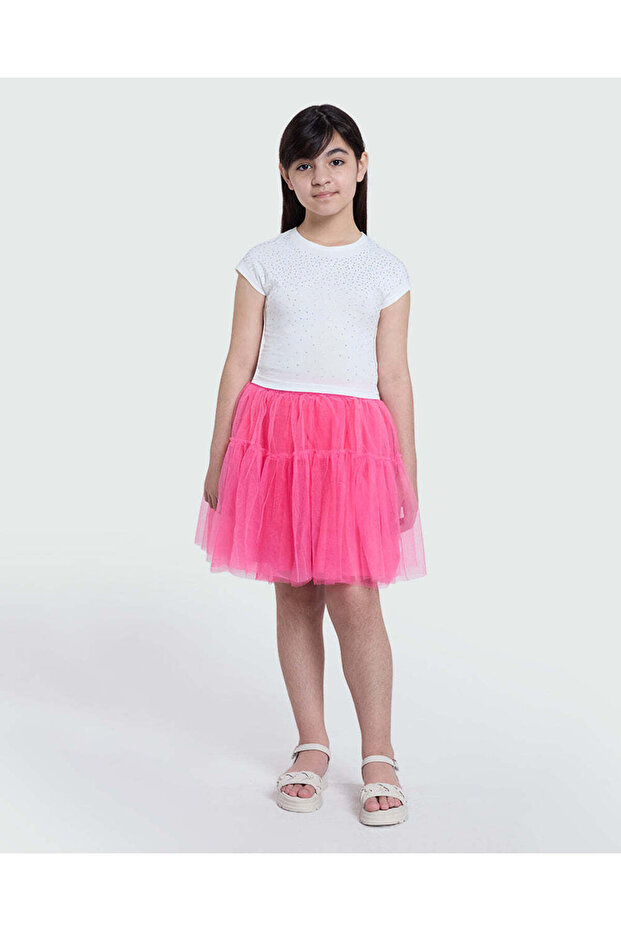 Mesh Skirt In Sangria Sunset By
