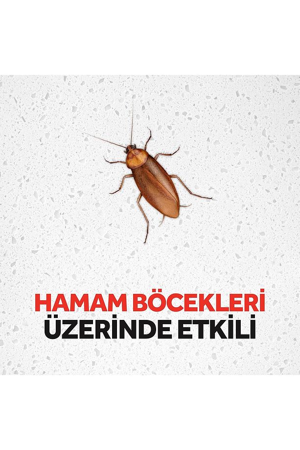 Raid 6 Adet Kokusuz & Pratik Hamam Böceği Yemi (1 x 6 Adet) - 2