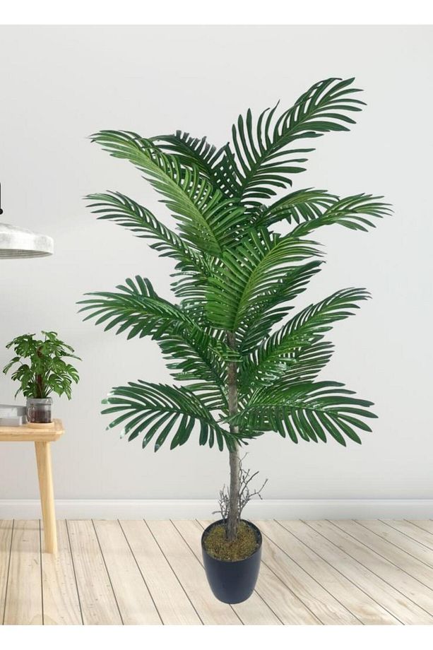 Yapay Ağaç Palmiye 16Yaprak Areka Ağacı Siyah Saksıda Tek Gövdeli 150*70Cm - 5