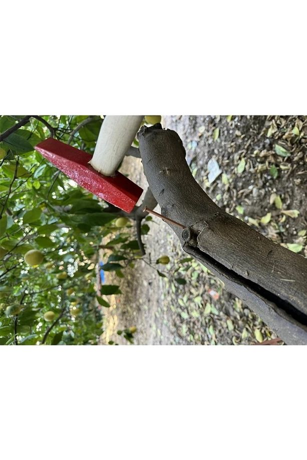 BAKIR ÇİVİ 3CM (25ADET) - 3