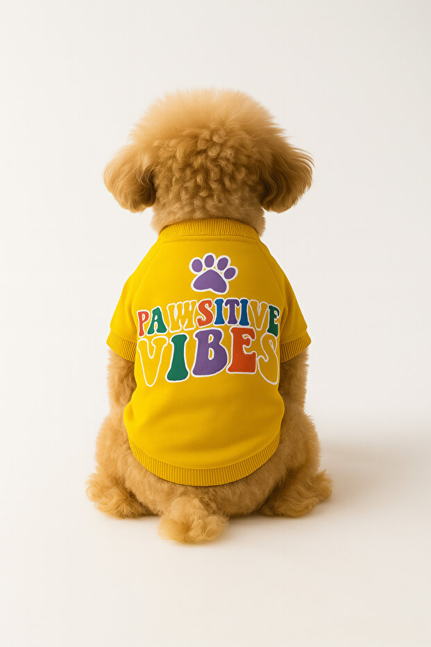 Yellow Sweatshirt Pawsitive Vibes Cat and Dog Outfit & Dress