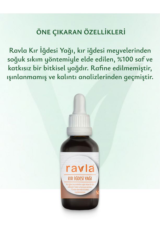 Kır İğdesi Yağı - 50ml - 3