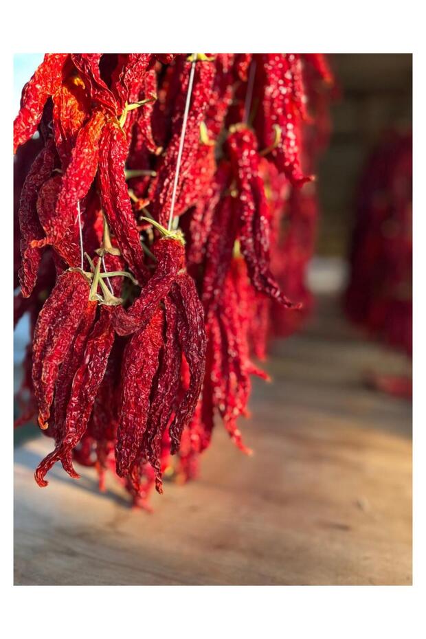 Kuru Charliston tatlı biber - 2