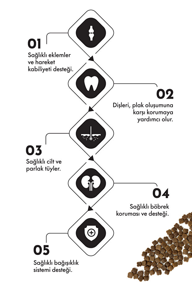 Kitten Lamb & Rice 2 Kg - 2