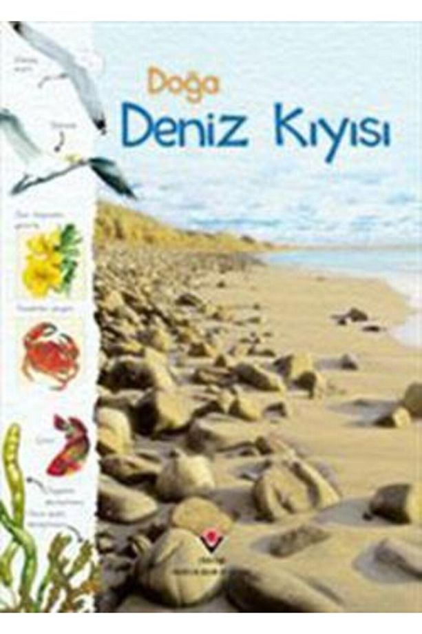 Doğa: Deniz Kıyısı Conrad Mason - Conrad Mason,sarah Courtauld - 1