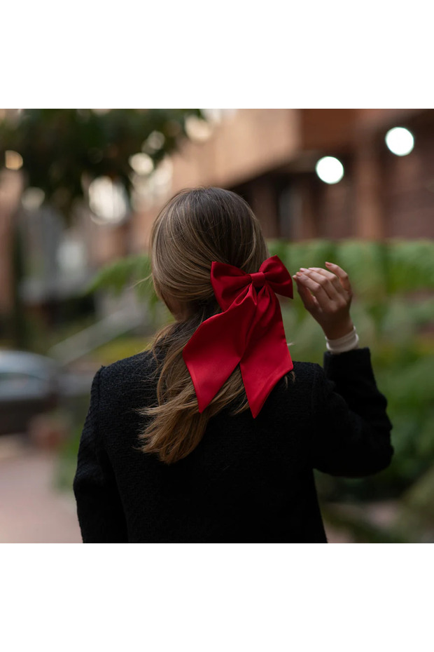 ربطة عنق من الساتان موديل مشبك تلقائي - 4