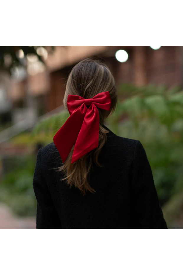 ربطة عنق من الساتان موديل مشبك تلقائي - 2