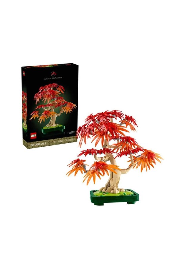 10348 Iconic Japanese Maple Bonsai Tree 474 Pieces +18 Years