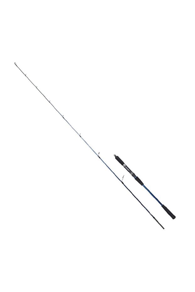 STROBE SP 1.98M 20-80GR 2P JIG KAMIŞ - 1