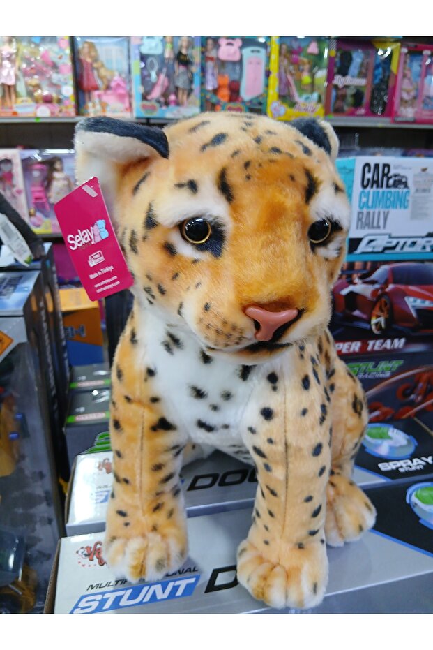 Leopard Sitting