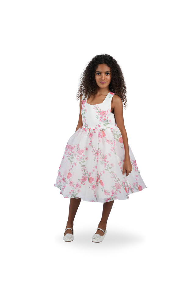 Tender Floral Party Dress