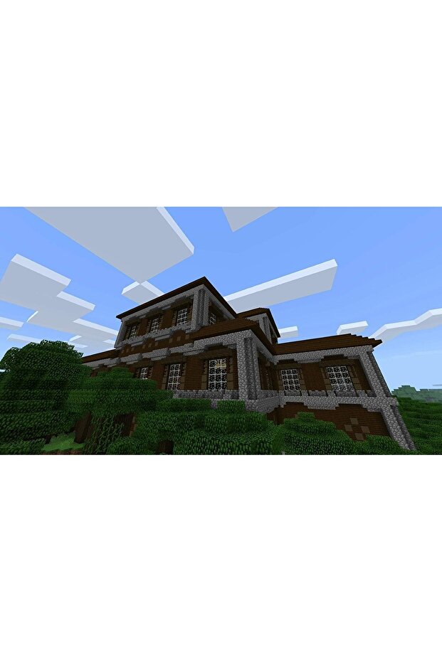 ماين كرافت - نينتندو سويتش - 4