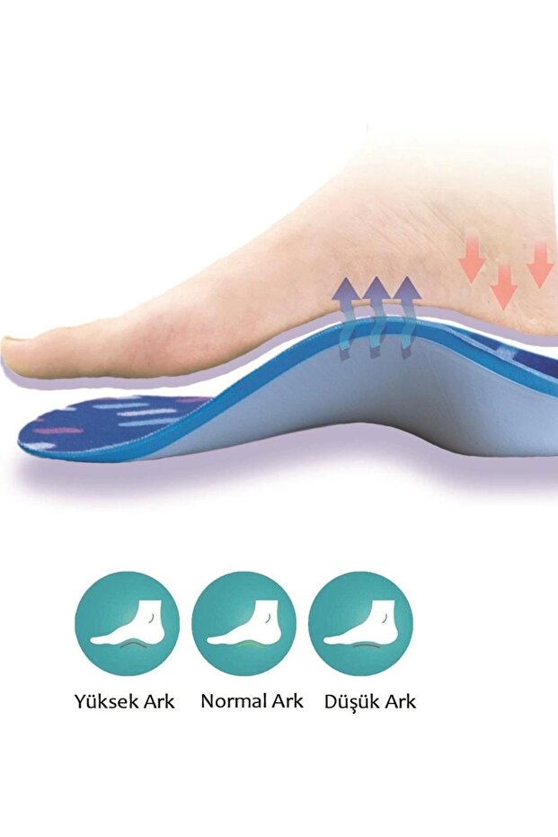 - UCBL Tabanlık - 4