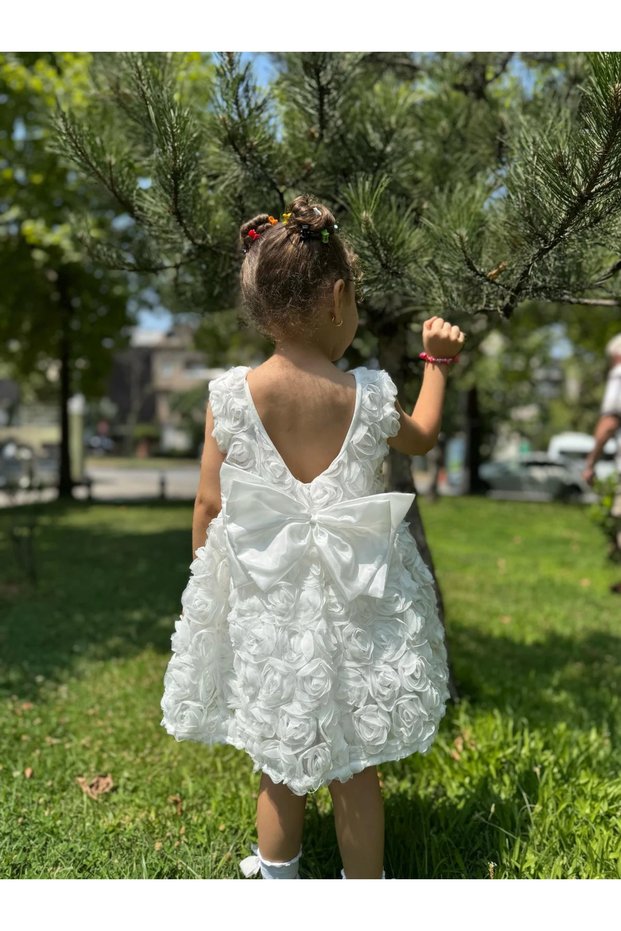 Baby Girl Kid's Short Sleeve Rose Back Detail Bow Special Occasion Birthday Party Wedding Dress