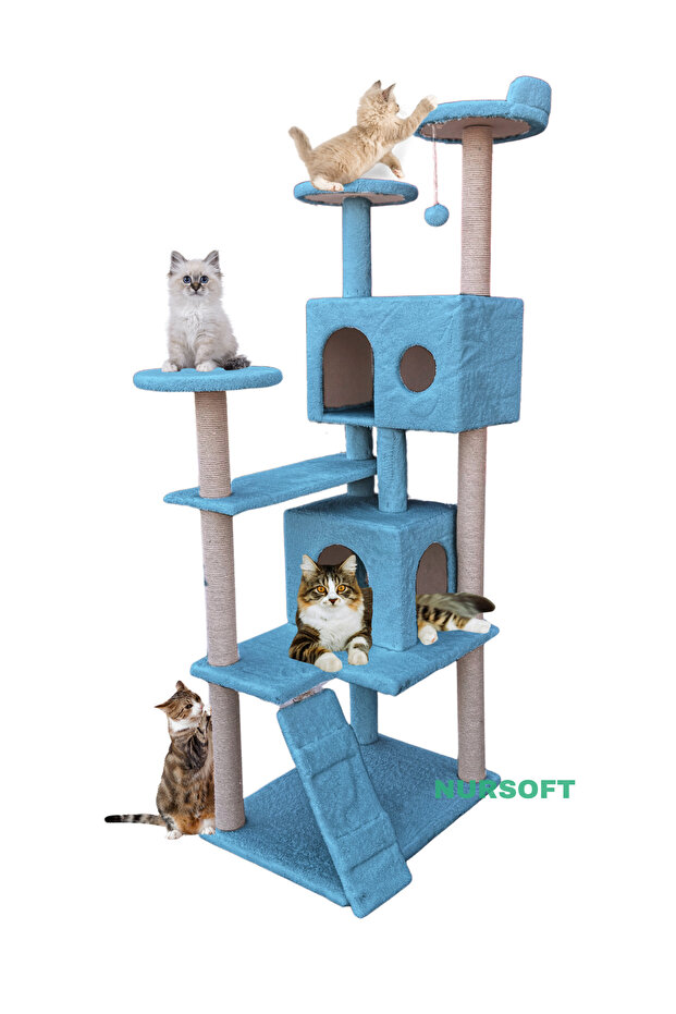 برج خدش بيت القطط - 3