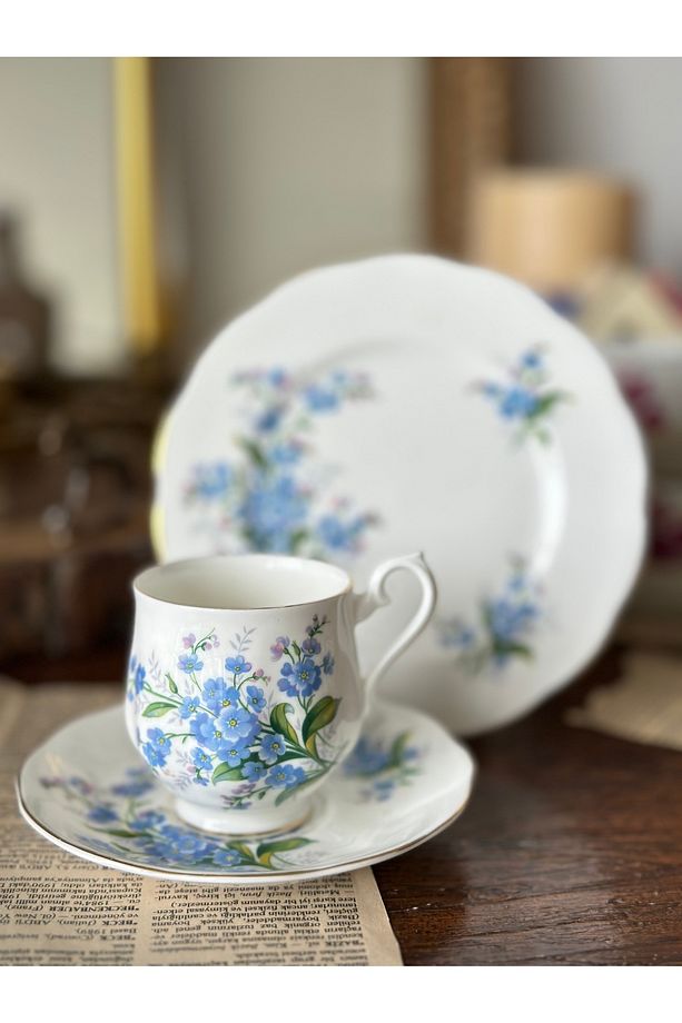 Antika Royal Albert Unutma Beni Çiçekli Forget Me Not Porselen Kahve Fincanı Trio Set 3lü - 2