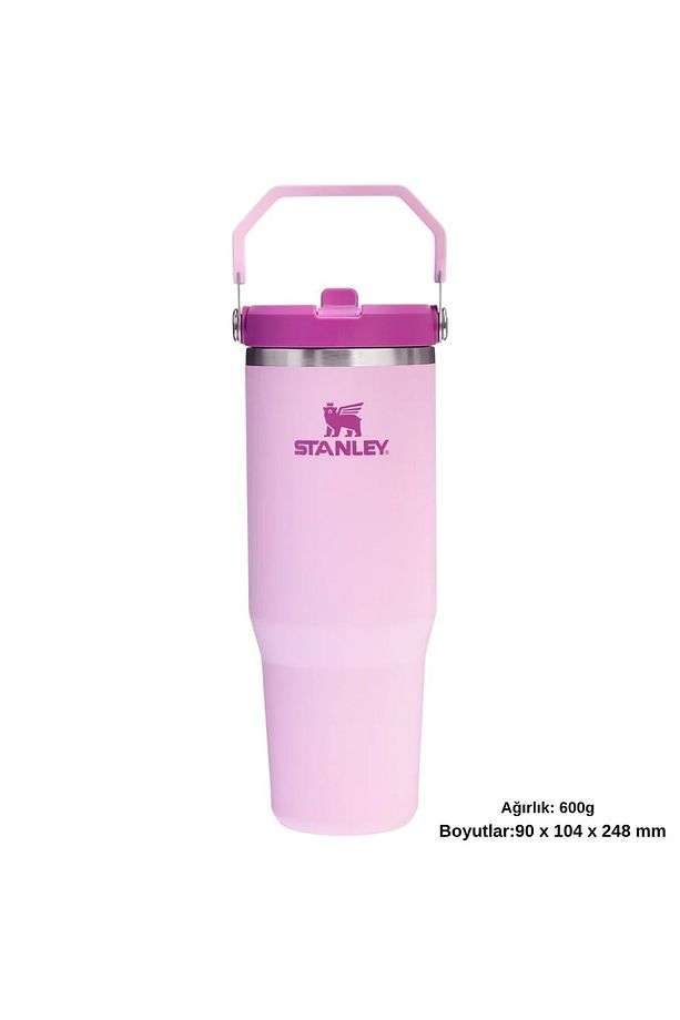 The IceFlow Flip Straw Pipetli Termos Bardak 0.89 LT Matara PEMBE - 5