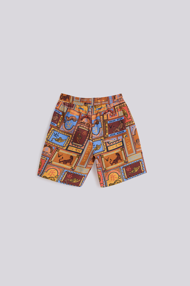 Boy Patterned Shorts - 6