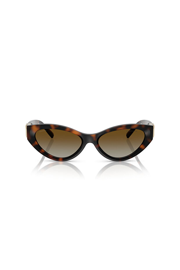 &Co. Tf 4225U 8015t5 54 Women's Sunglasses