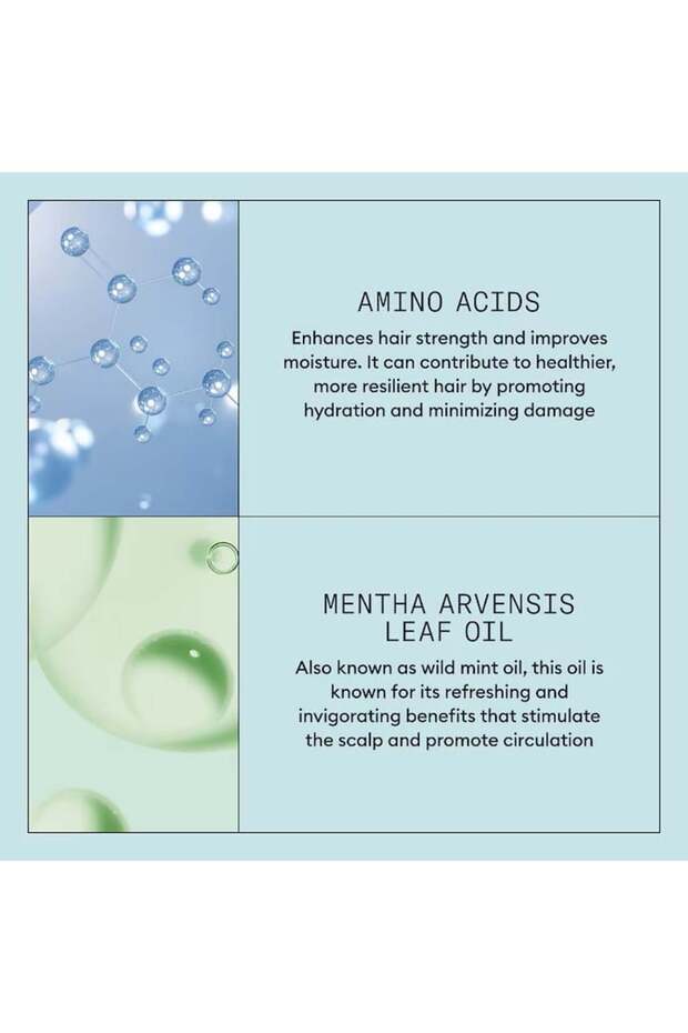 Scalp Recovery Anti-Dandruff Moisturizing Conditioner for Itchy Irritated Scalp, 200 ml - 3