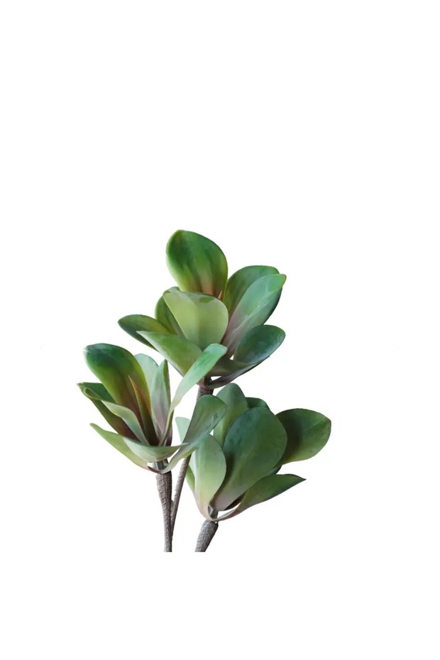 Green Leafy Tree – 55 cm - 2