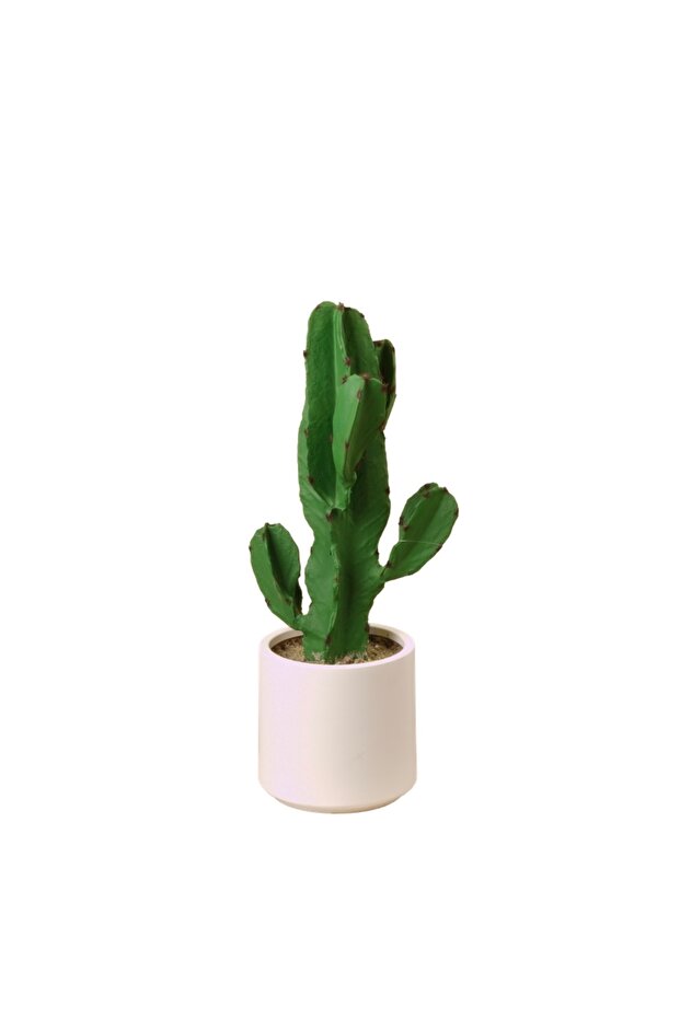 شجرة الصبار الصينية - 57 سم - 2