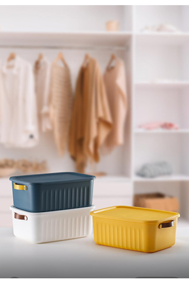 صندوق منظم من Boxsis 3 قطع سعة 10 لتر مع غطاء منظم داخلي للخزانة