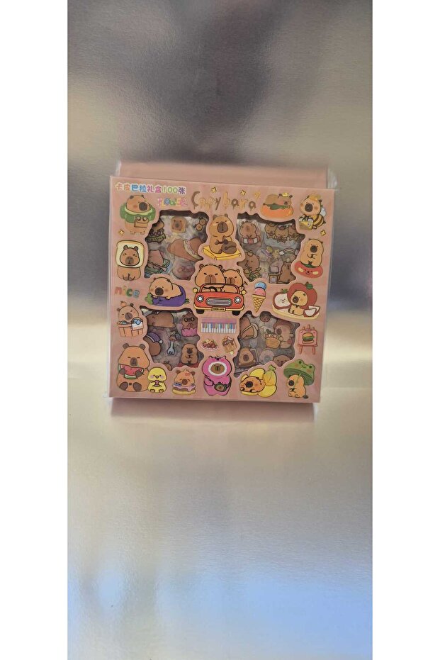 570 Pieces Capybara Sticker Set