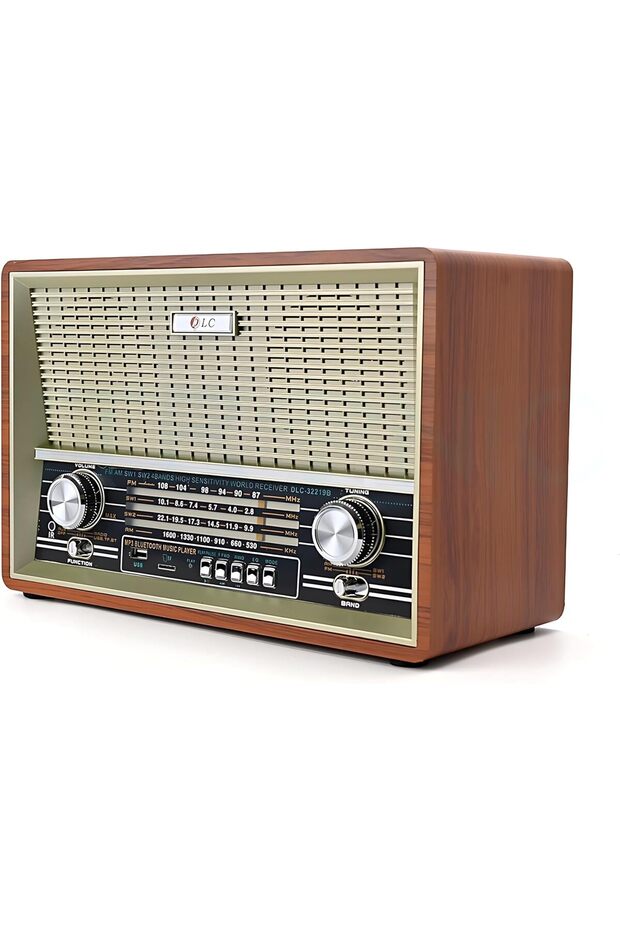Biki 3-in-1 Bluetooth Speaker Radio (AM/FM/SW, TF/USB, Rechargeable, Disco Light)