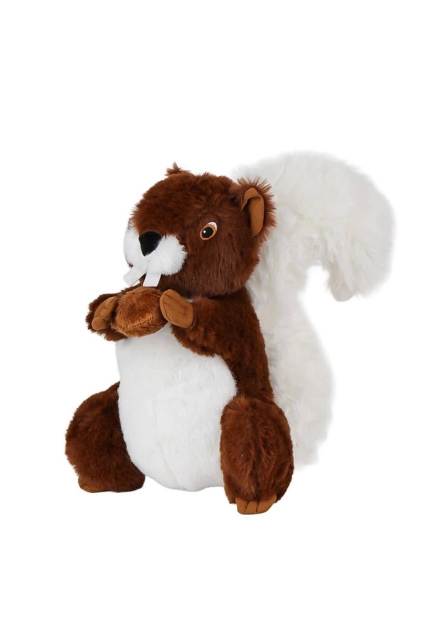 Ceylan adam 1478 little squirrel puffy - 1