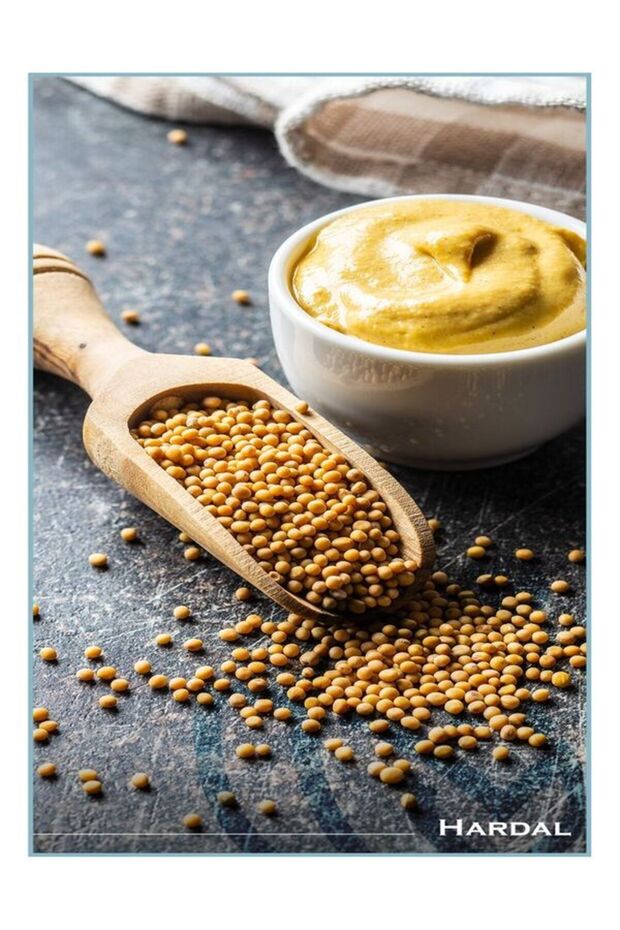 Edmond Dijon Hardal 210 Gr - 2