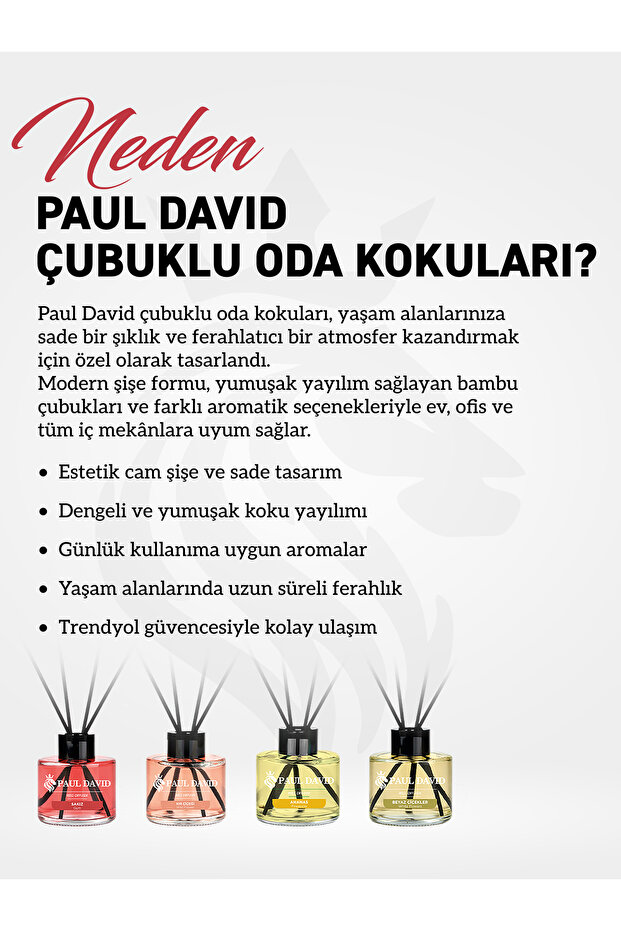 Okyanus Esintisi Yüksek Koku Yayılımlı Dekoratif Bambu Çubuklu Oda Kokusu 145 ml - 5