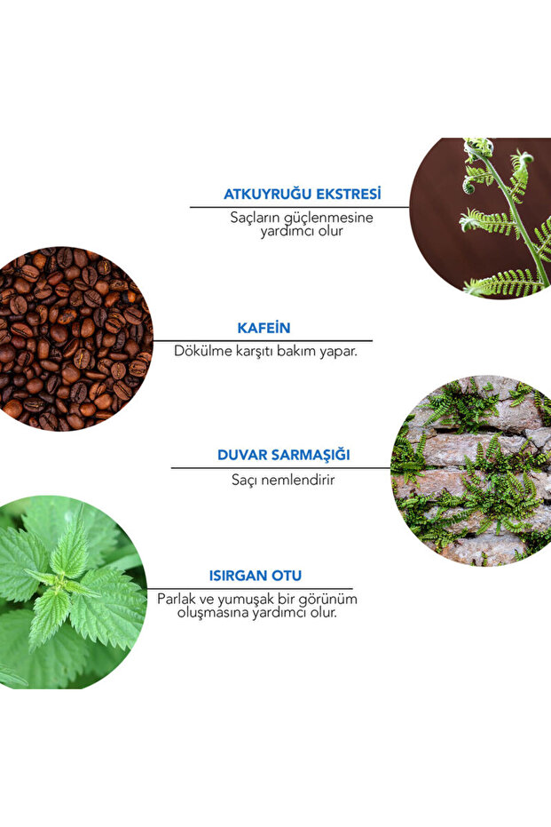 Organik Dökülme Karşıtı Prebiyotik Şampuan 100 ml - 6