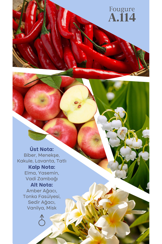 Mad A114 Selective 100 ml Erkek Parfüm - 4