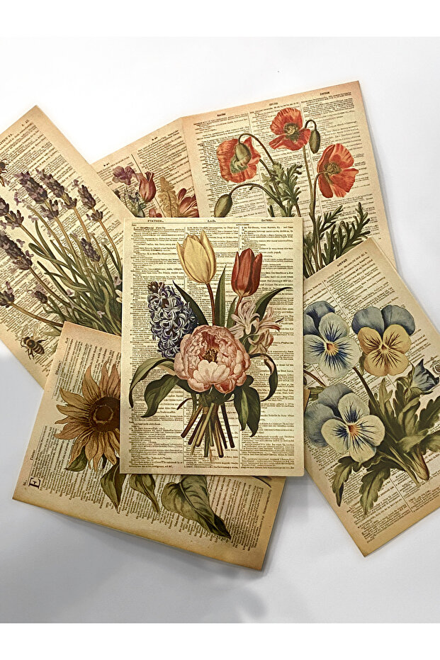 Henno A6 (10,5x14,8 cm) Vintage Çiçek Temalı 6’lı Kağıt Seti | Bullet Journal, Scrapbook, Defter Süsleme