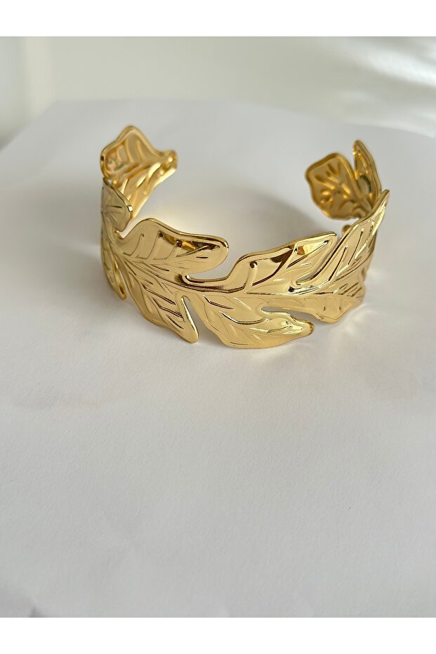 سوار ذهبي - 2