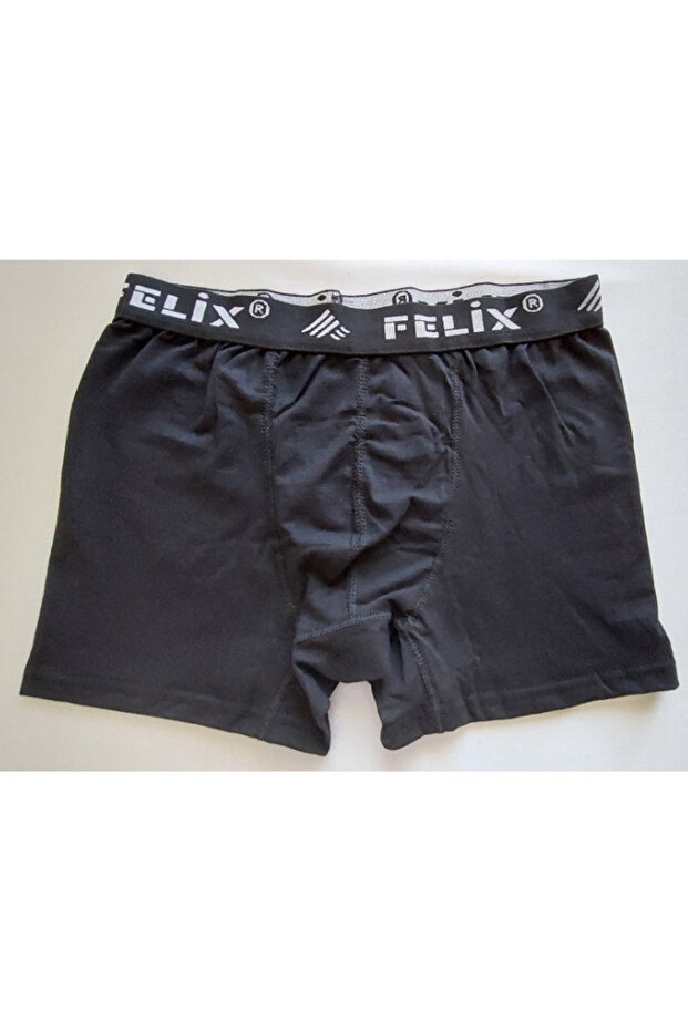 ERKEK BOXER - 1