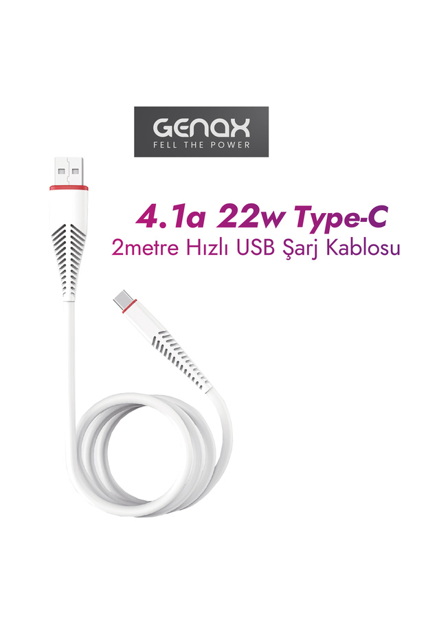 2 Metre USB Type-C Çift Taraflı Girişli Kablo - 1