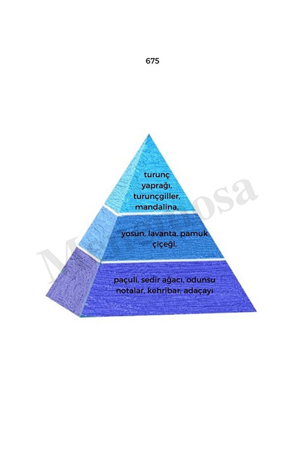 675 + 675 Erkek Parfüm Edp 50 ml Fresh - Mnms506752 - 3