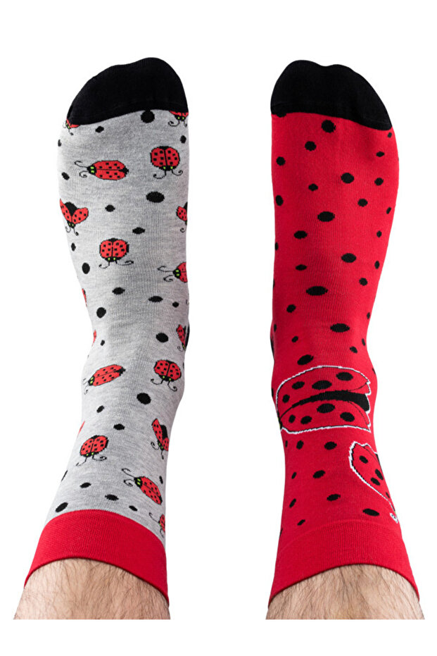 Βαμβακερές κάλτσες Ladybug - 3