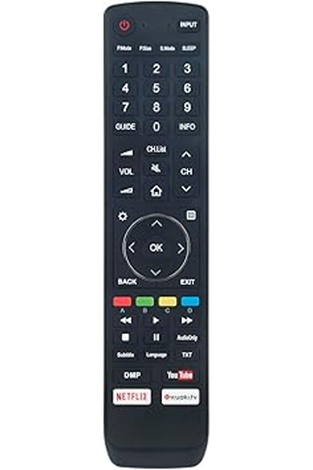 EN3N39H Remote for Hisense TV 40H5C 50H6C 43H5C 65H7B2 55H7B & More