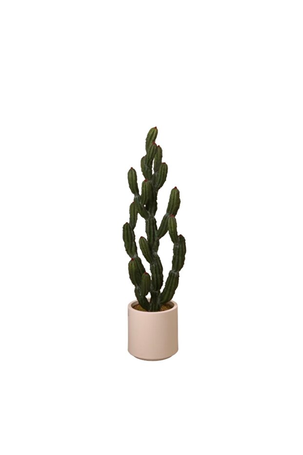 Cactus Tree – 98 cm - 2