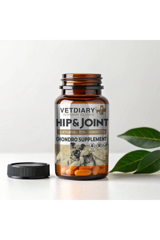 HIP & JOINT CHONDRO MSM Move Glucosamine Premium Kedi ve Köpek Eklem İskelet Destek Tableti - 2