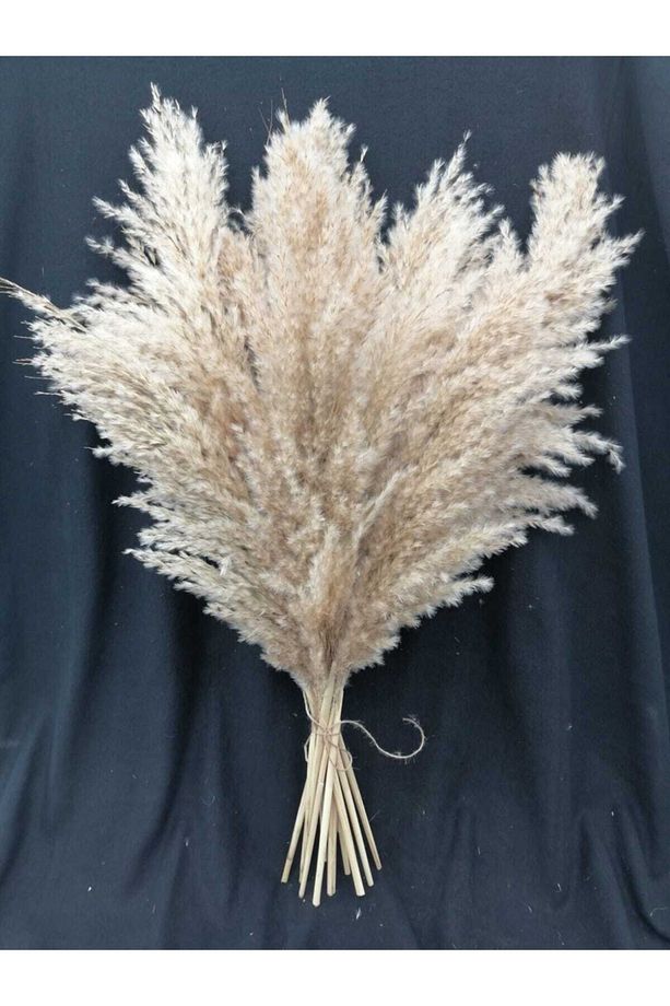 Kuru Çiçek Dekoratif Pampas 8'li Büyük Demet - 3