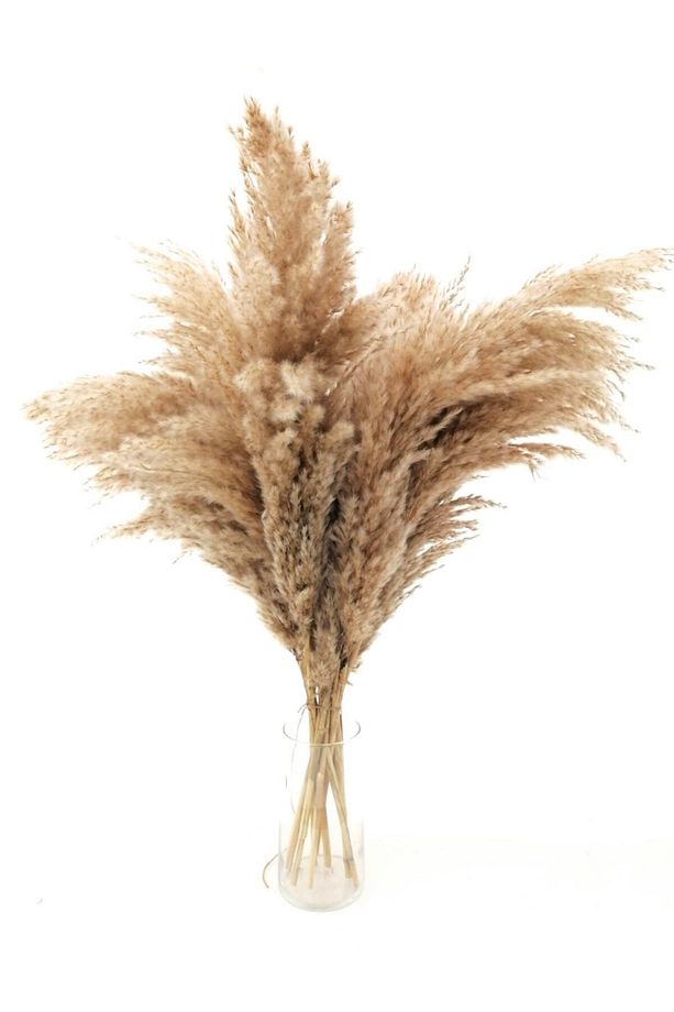 Kuru Çiçek Dekoratif Pampas 8'li Büyük Demet - 5