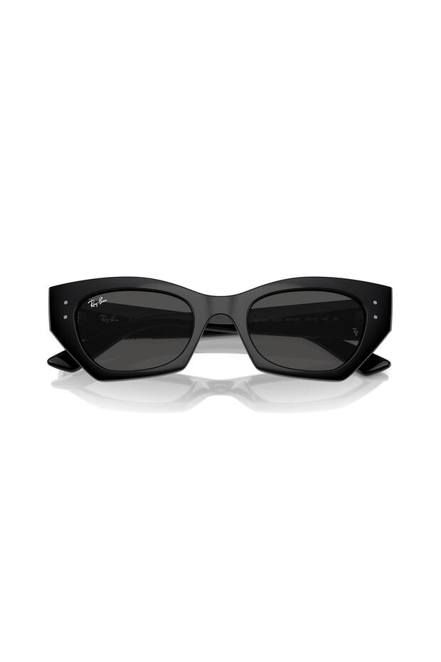 0RB4430 667787 52 - 6