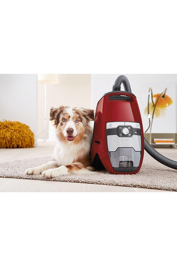 Blizzard Cx1 Cat&dog Mango Red Toz Torbasız Süpürge - 7