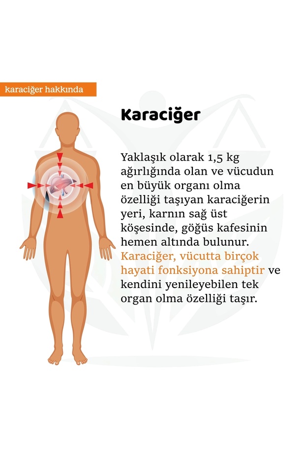 Karaciğer Hint Yağı Sargı Bezi 100 ml Hint Yağı (HEXANSIZ) - 5