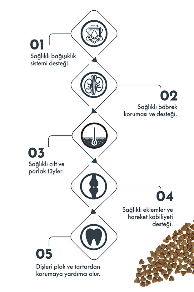 Mini Lıght Sterılısed Lamb Blueberry 2 Kg - 2