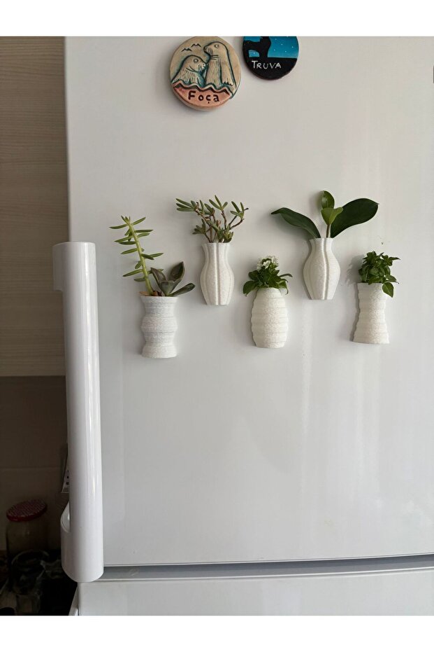Fuzzy Mini Saksı Magnetli Set (5 ADET) - 2